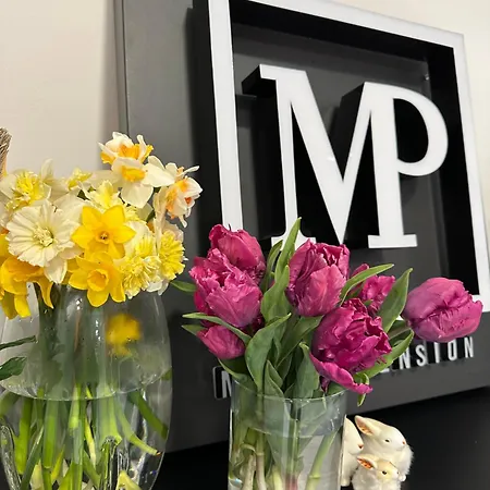 Mayor 게스트하우스 3*